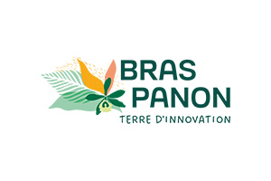 Logo 6